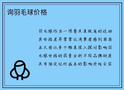 询羽毛球价格